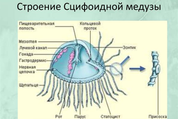 Как пополнить кошелек на кракене